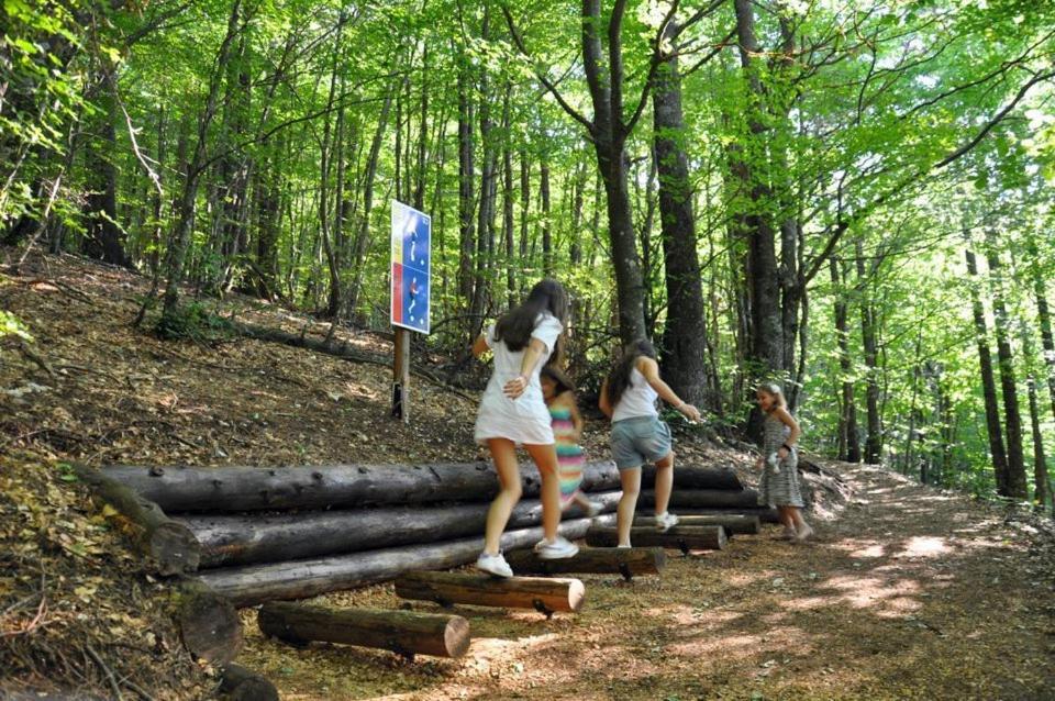 Hotel Snjezna Kuca - Nature Park Of Bosnia Herzegovina Padezina Esterno foto