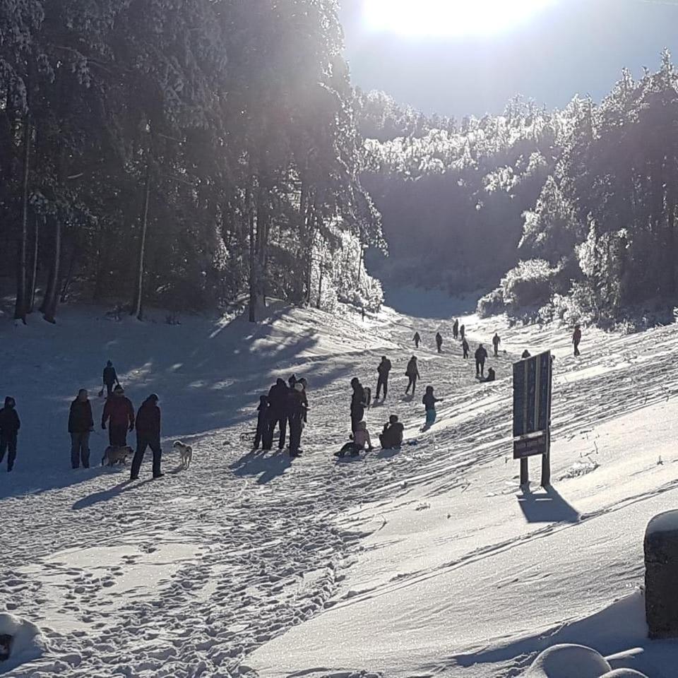 Hotel Snjezna Kuca - Nature Park Of Bosnia Herzegovina Padezina Esterno foto