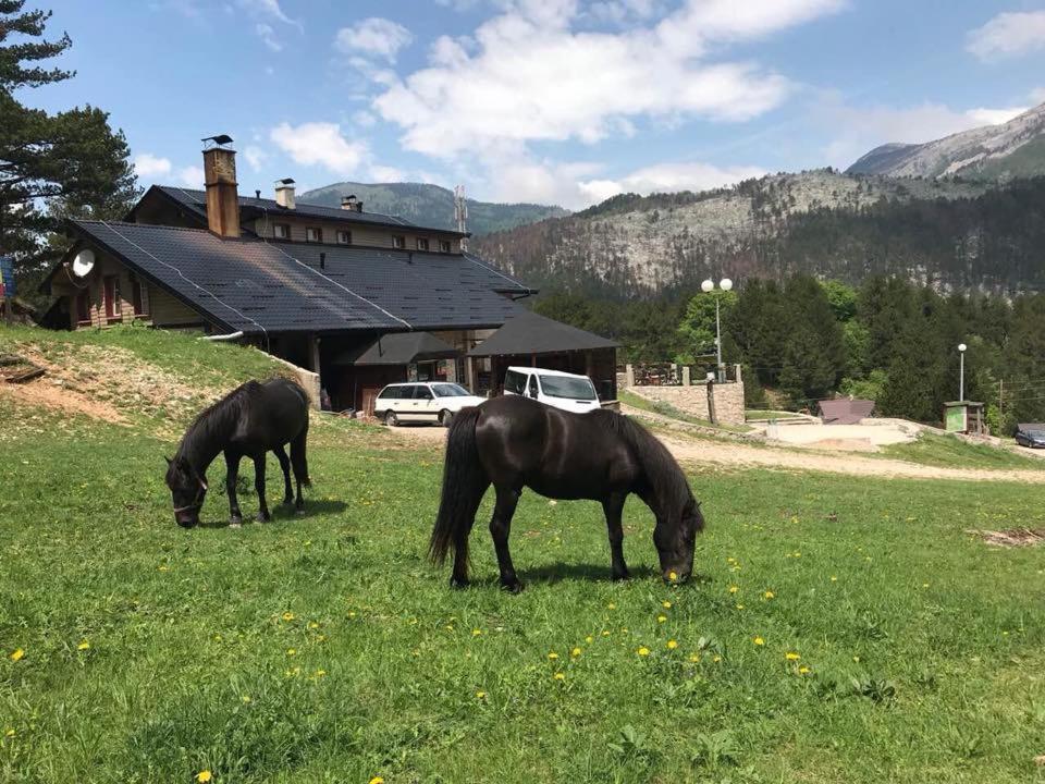 Hotel Snjezna Kuca - Nature Park Of Bosnia Herzegovina Padezina Esterno foto