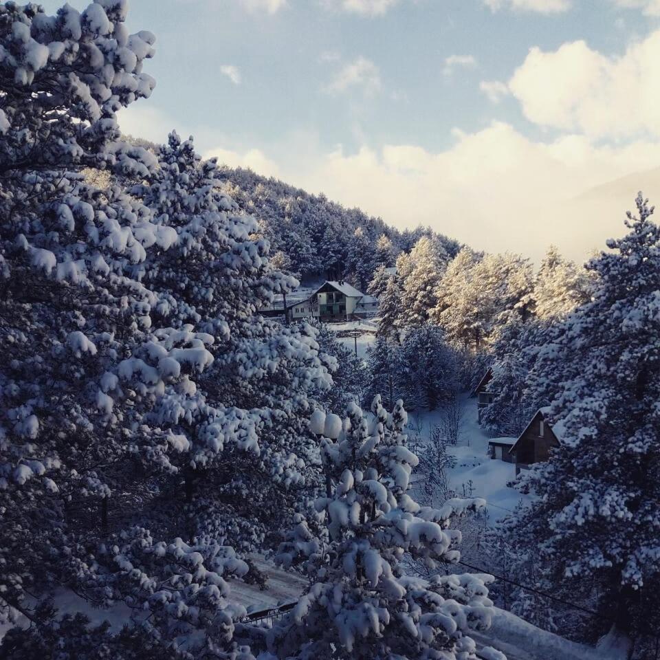 Hotel Snjezna Kuca - Nature Park Of Bosnia Herzegovina Padezina Esterno foto