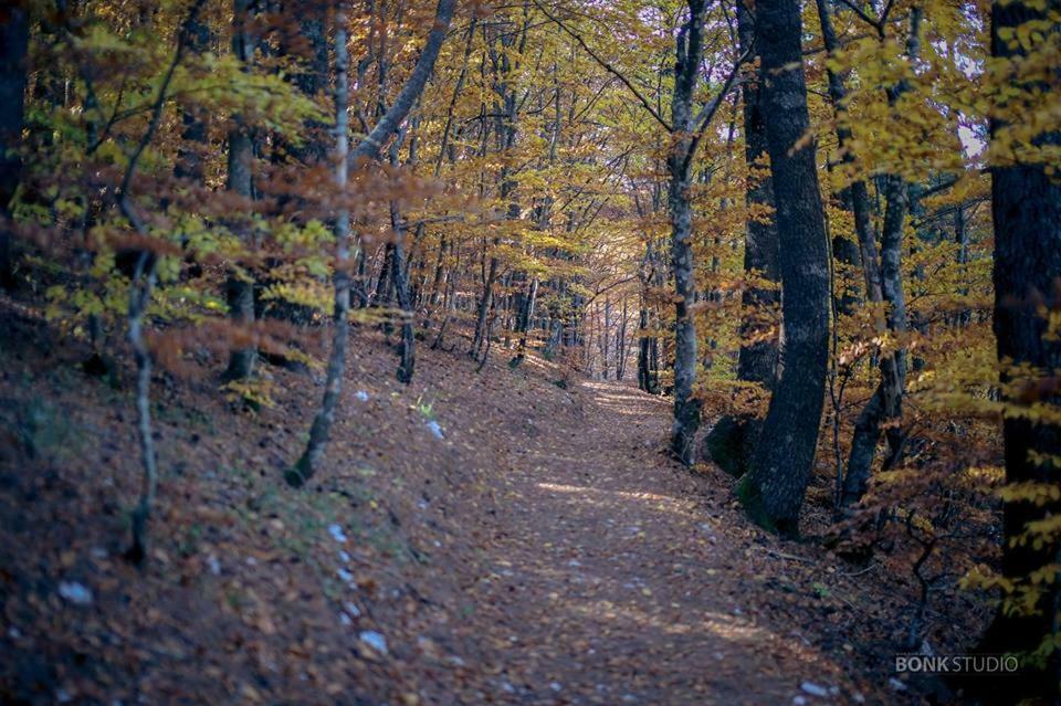 Hotel Snjezna Kuca - Nature Park Of Bosnia Herzegovina Padezina Esterno foto