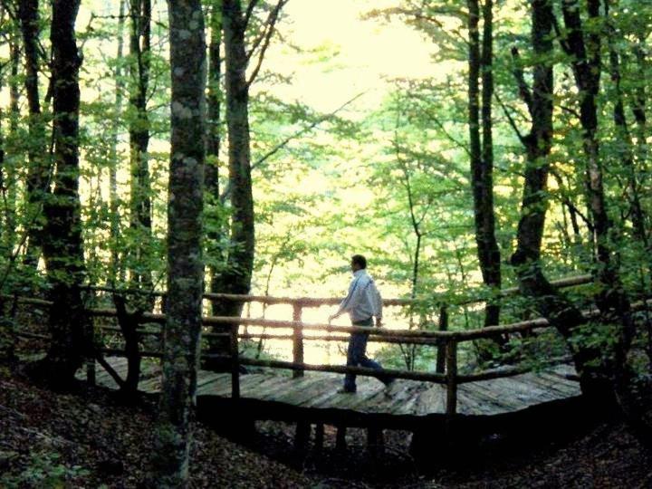 Hotel Snjezna Kuca - Nature Park Of Bosnia Herzegovina Padezina Esterno foto